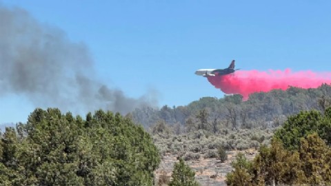 VIDEO | Infierno en el Gran Cañón: el incendio más grande del año arrasa Arizona