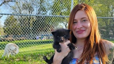 Se suicidó la influencer Mikayla Raines, fundadora de Save a Fox: su esposo denunció una campaña de acoso en línea