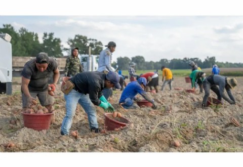 Colorado avanza con proyectos para conectar a trabajadores agrícolas con servicios de salud mental