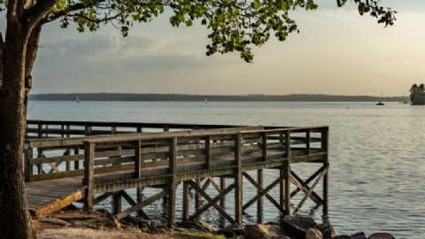 Impactante descarga eléctrica en Carolina del Sur dejó 20 heridos, entre ellos 12 menores