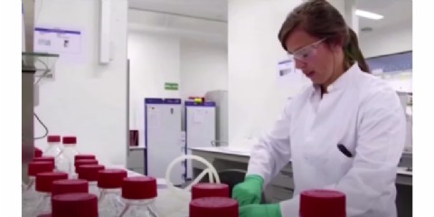 Pfizer detiene producción de su fármaco contra la obesidad por efectos secundarios adversos