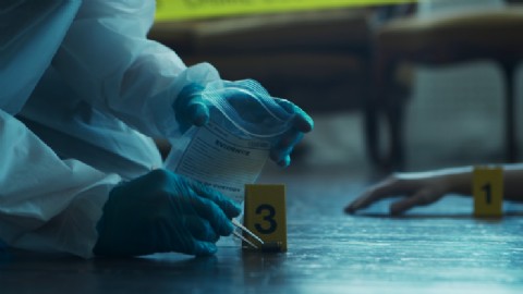 Homicidio seguido de suicidio en Nueva York: un hombre mató a su pareja y se quitó la vida