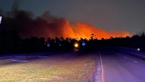 Carolina del Sur declaró el estado de emergencia por incendios forestales
