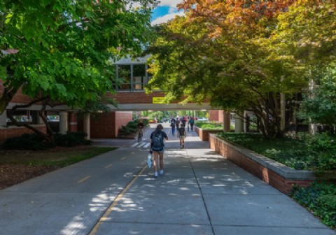 La Universidad de Michigan se disculpa por una foto de Hitler que apareció en un juego de fútbol