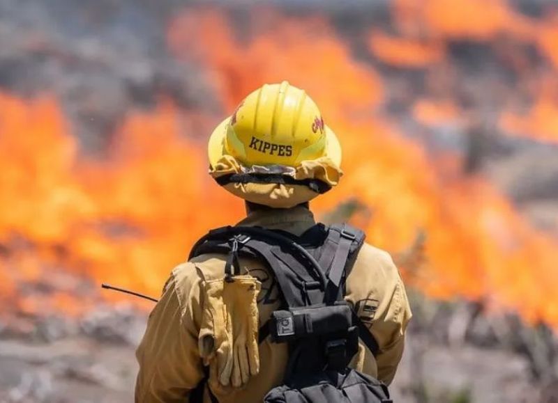 Continúa el incendio forestal en California: comunidad en alerta tras aumento de evacuaciones