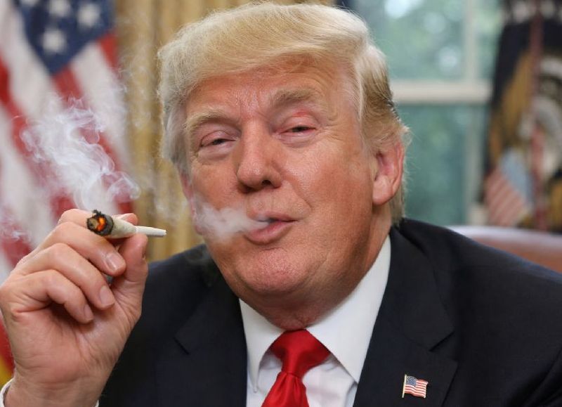 Trump se hace el flexible: ahora dice que la marihuana “no es tan grave”