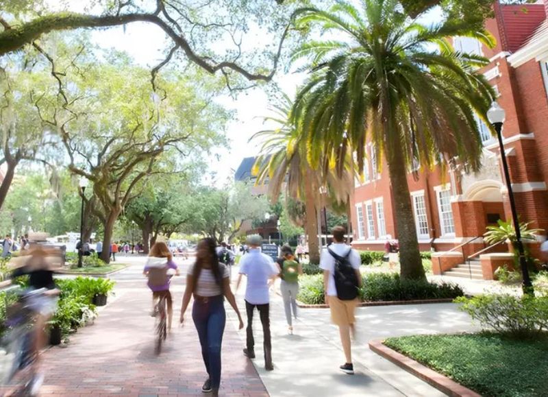 Universidad de Florida recibe cinco estrellas en el ranking de las mejores del país