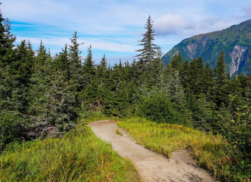 Fatal caída en las montañas de Alaska: turista texano perdió la vida