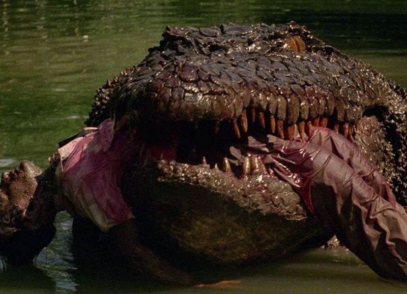 Conmoción en Nueva Orleans: un niño autista fue hallado muerto tras el ataque de un caimán