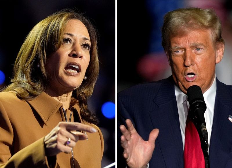 Elecciones 2024: la gente decide entre Kamala Harris y Donald Trump