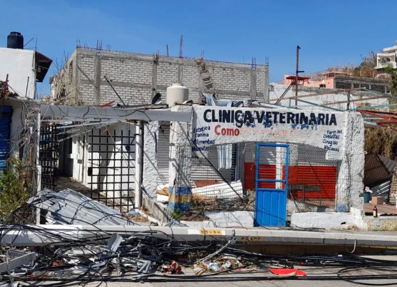 Guerrerenses en Illinois se movilizan para ayudar a familiares afectados en Acapulco