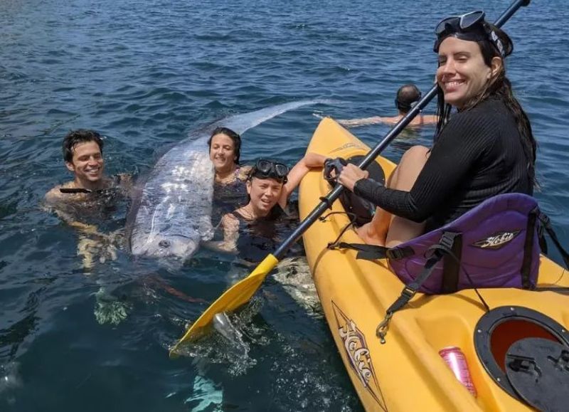 Hallan un "pez del fin del mundo" flotando en la costa de California dos días antes del terremoto